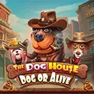 The Dog House – Dog or Alive game thumbnail